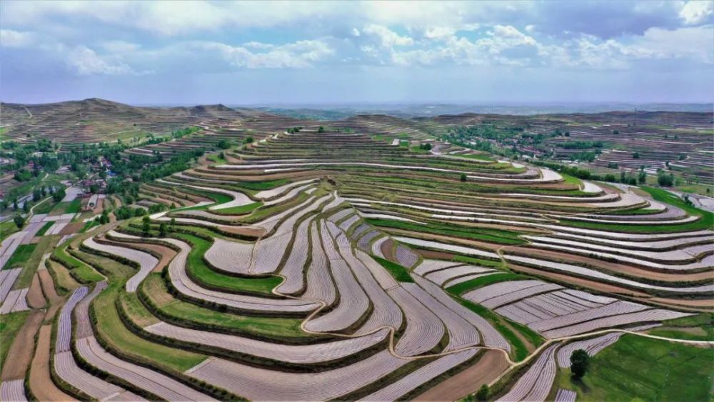 六盘山下好风光——山翠地平梯田美如画