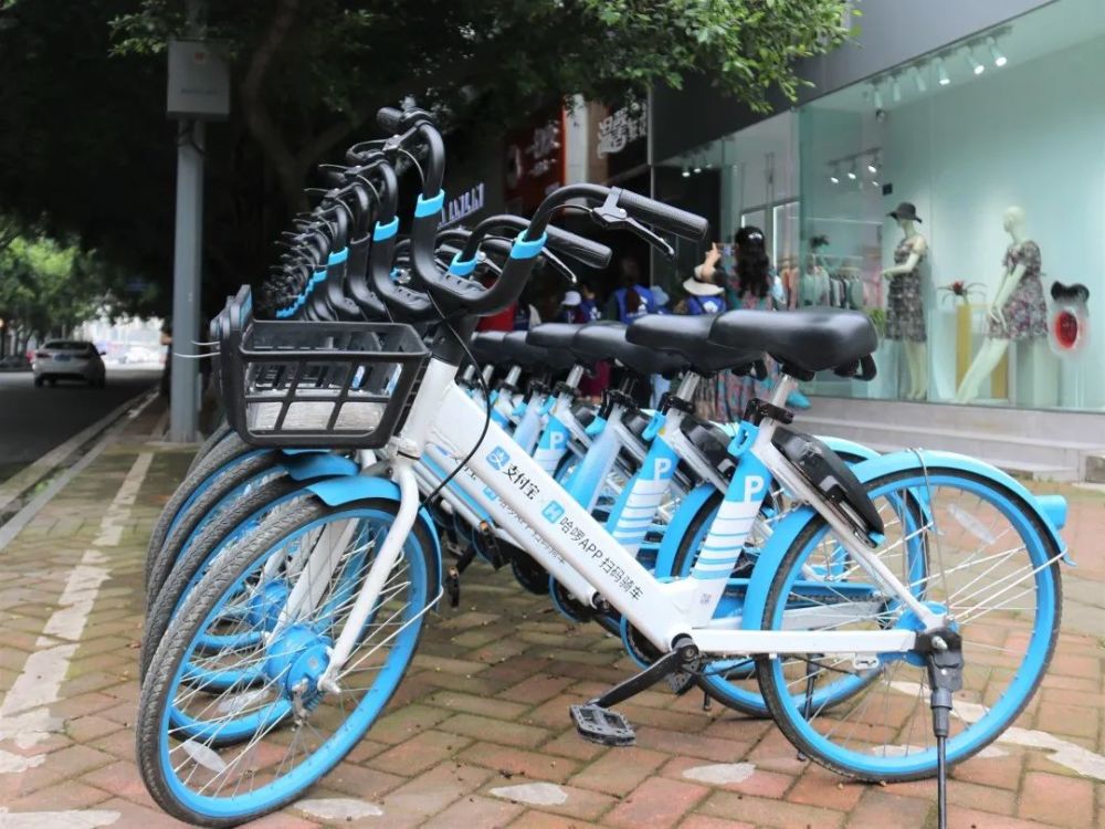 组织哈啰,青桔两家共享单车公司运维人员开展了无牌单车专项整治行动