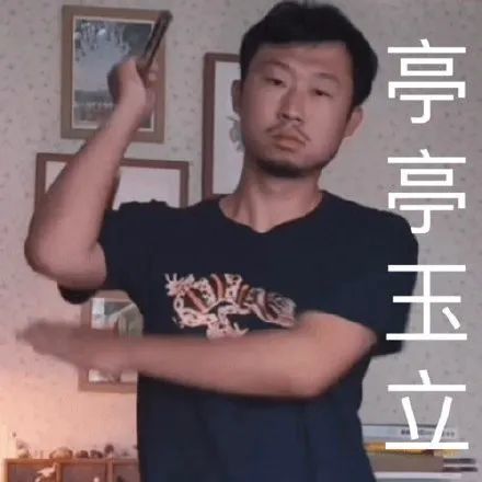表情包藏狐小亮系列
