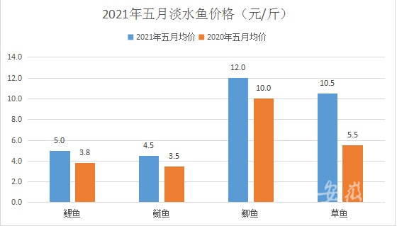 草鱼涨破10元 鲫鱼价格翻倍 合肥淡水鱼价格为何节节攀升?