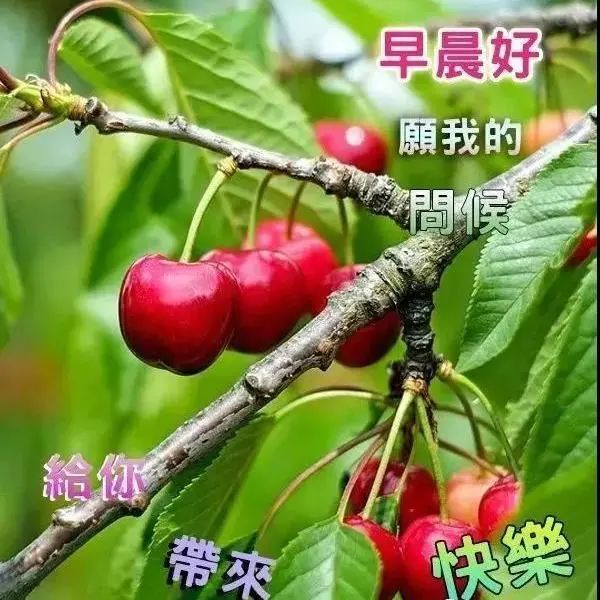 中老年表情包,愿你平安健康,快乐吉祥!