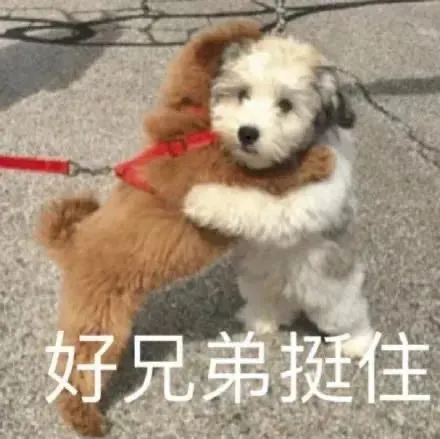 沙雕表情包好兄弟挺住