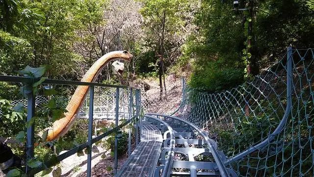 郑州伏羲山三泉湖一日游:逛玫瑰庄园,坐丛林过山车,吃