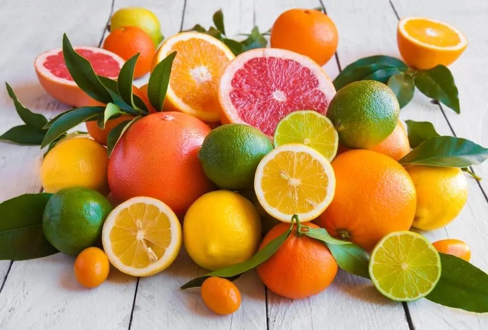 南加警告居民不要运送自种柑橘类水果!否则可能违法