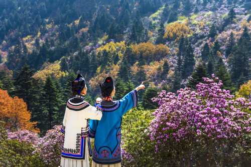 索玛花开大凉山