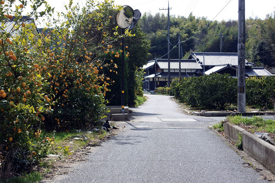 日本江户时期有多少人口_日本江户时期姿势(3)