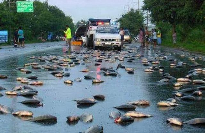 世界上那些罕见的"奇葩雨",超乎你的认知,别说只知道"