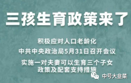 嗯嗯人口什么优化生育政策_纲要草案优化生育政策