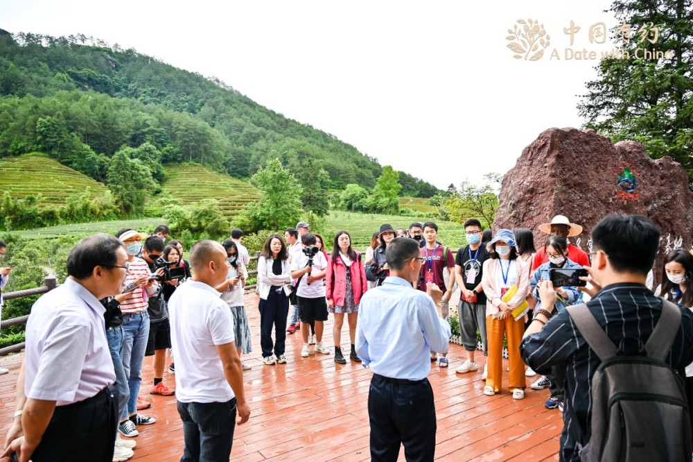 【中国有约】福建燕子窠生态茶园:科技特派员助力乡村振兴