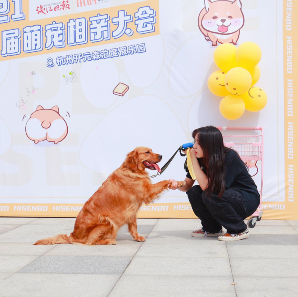 朋友圈刷屏杭州萌宠相亲大会竟然是这样怎么和我想象中的画面不一样