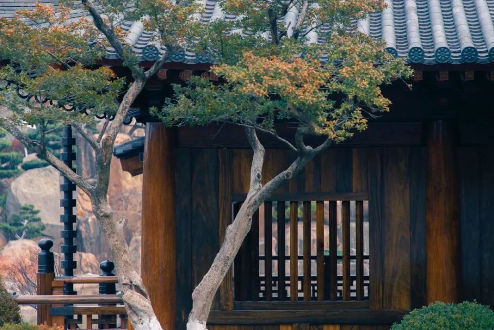 晚唐遗风,梦回大唐—唯一获"鲁班奖"的寺庙宝山寺