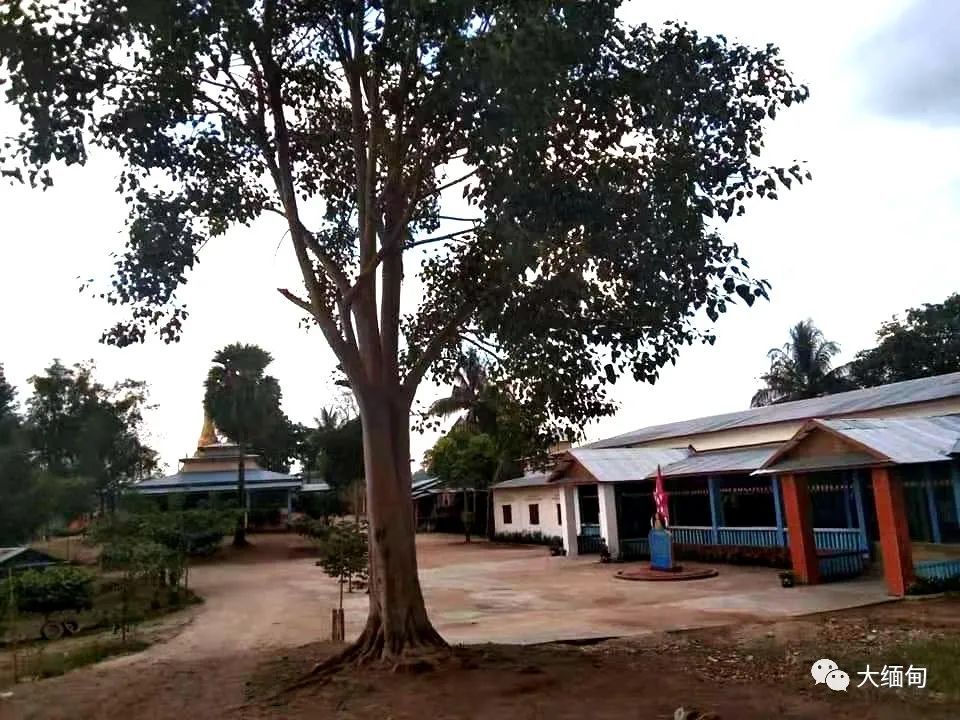 缅甸妙瓦底市1名警察局长和3名警员被佛教军的分支武装抓走
