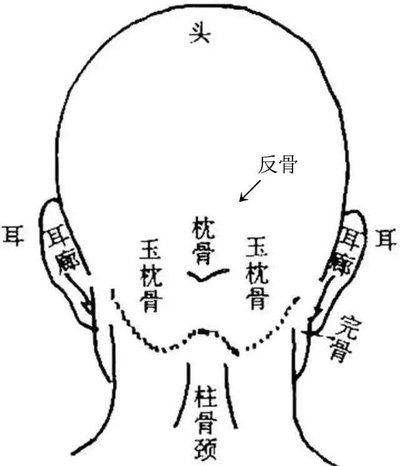 但反骨并非只有后脑勺枕骨突起的才叫反骨,额头比较突出的,也是反骨