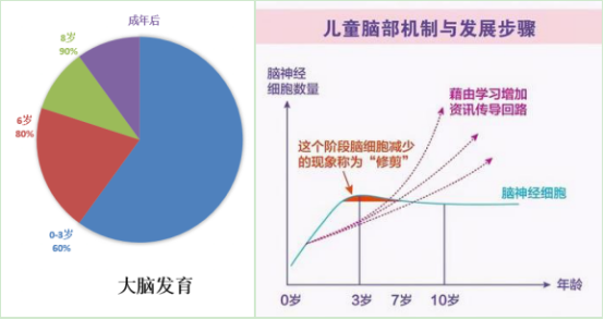 从出生到3岁时期的三年中,孩子大脑的发育,脑细胞之间的联络已经完成