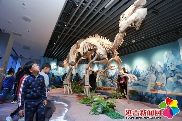 【关注】跟"恐龙"同过六一 延吉恐龙博物馆迎来大批游客
