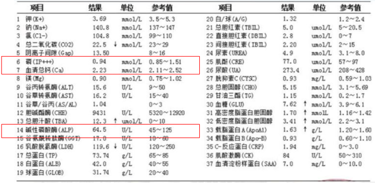 起始应用,实力尽显:地舒单抗优越疗效,助力肺癌骨转移