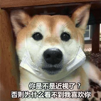 搞笑沙雕狗狗表情包,【大家都听我说,你们都是狗】