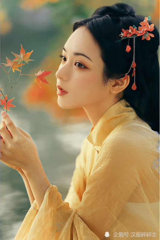 标致的美颜,古典的妆容 仙女的头发丝都是美的