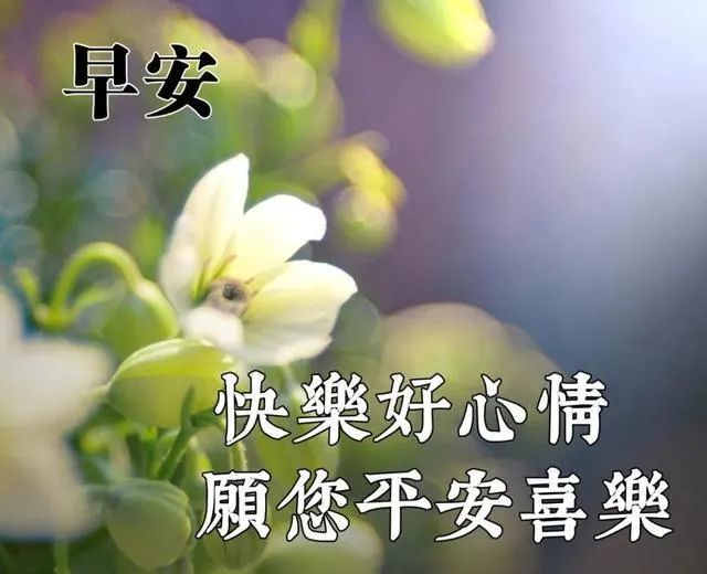 9月7日早晨问候语祝福语 早安简短的早上好祝福语