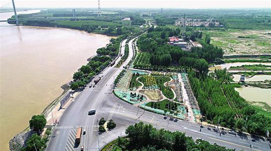 "彩叶"作笔绘就黄河大道多彩景观廊道
