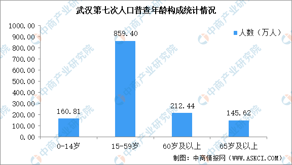 武汉市流动人口数量_别惊讶了,河南硬核也不止这一次了