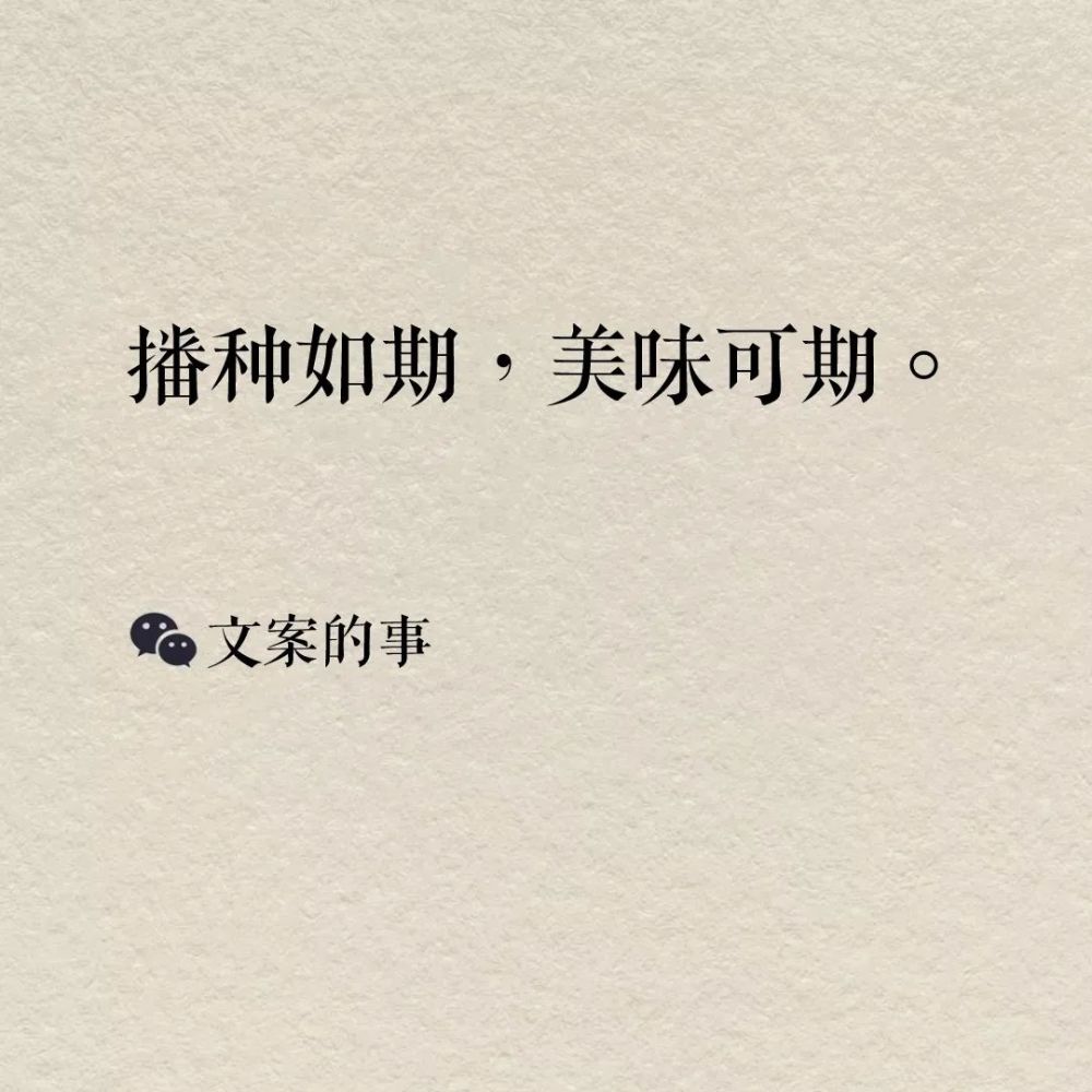芒种海报文案,创意合集