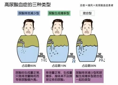 高尿酸痛风关注健康远离痛风