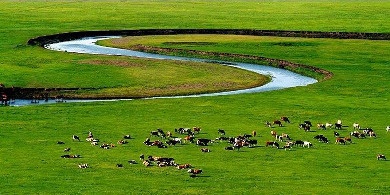 草原 排名_草原手机壁纸(2)