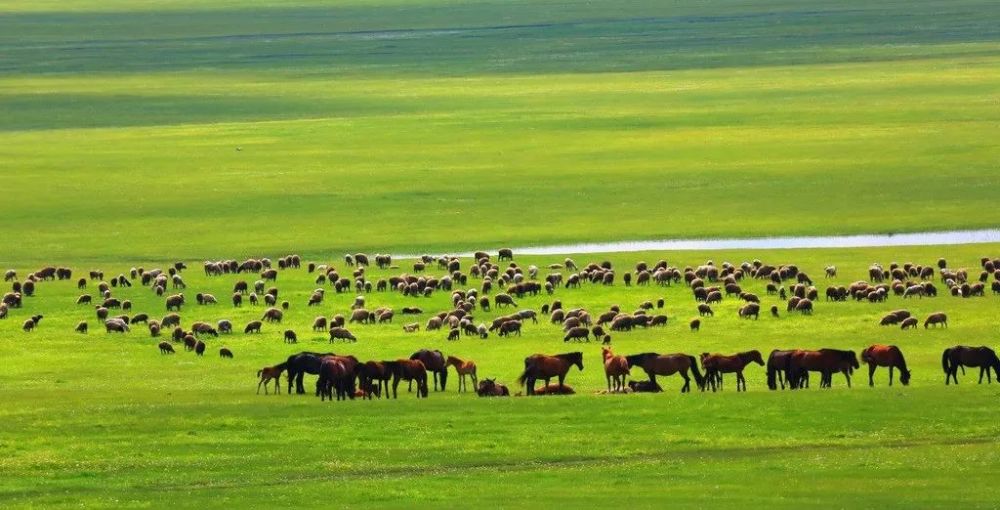 草原 排名_草原手机壁纸(2)