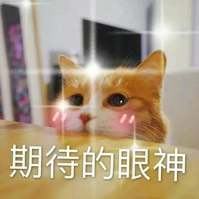 微信沙雕表情包:快乐的双马尾duang弹力摇