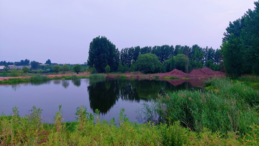 等你在平顶山白龟山水库湿地公园