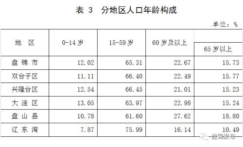 人口构成包括_政务大数据 原力大数据全量人口信息聚合应用解决方案