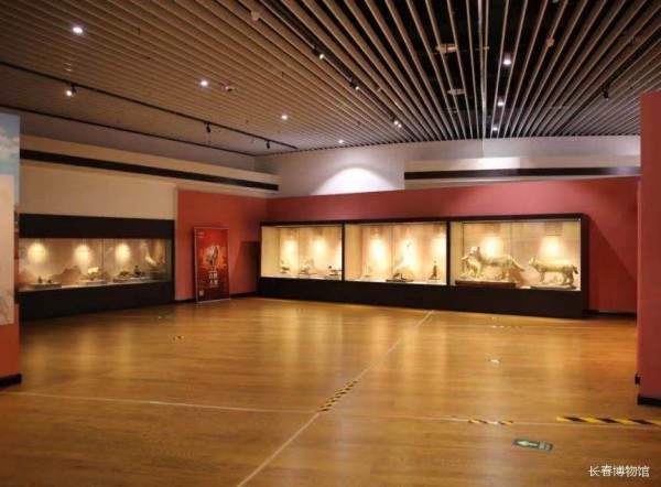 "丝绸之路 自然大观"展在长春展出