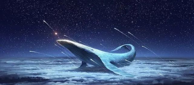 "一鲸落,万物生"原来鲸落是这么回事!快来听深海鲸鱼