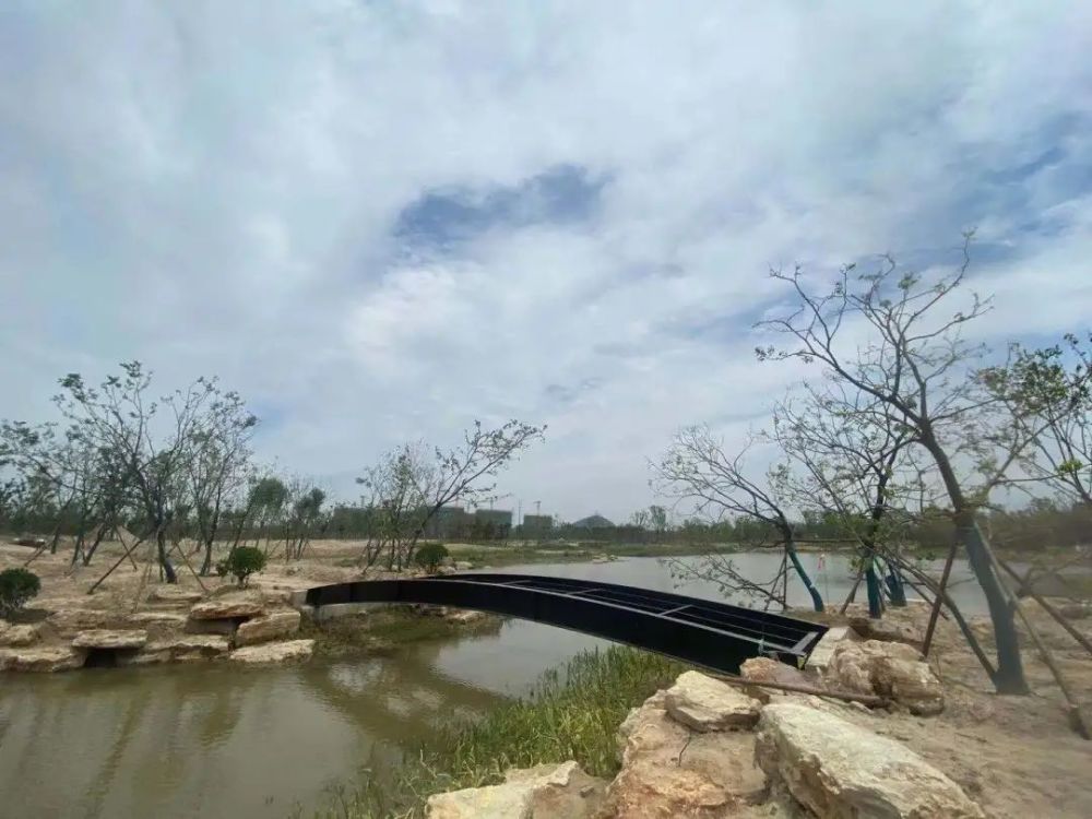 桃花源湿地公园 最近后台有很多粉丝来问,桃花源湿地公园的进展情况