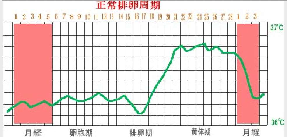 女方备孕推荐检查项目 血液检查 性激素6项 甲状腺功能测定 抗苗勒管