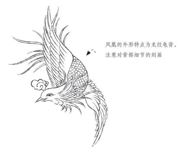 吉祥如意的白描凤凰是这样画出来的