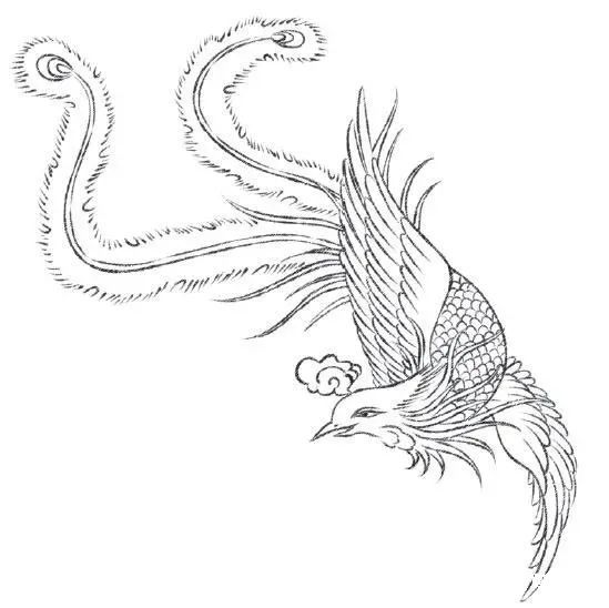 构思好整个纹样的构图,从凤凰开始画起,注意两侧翅膀的方向.