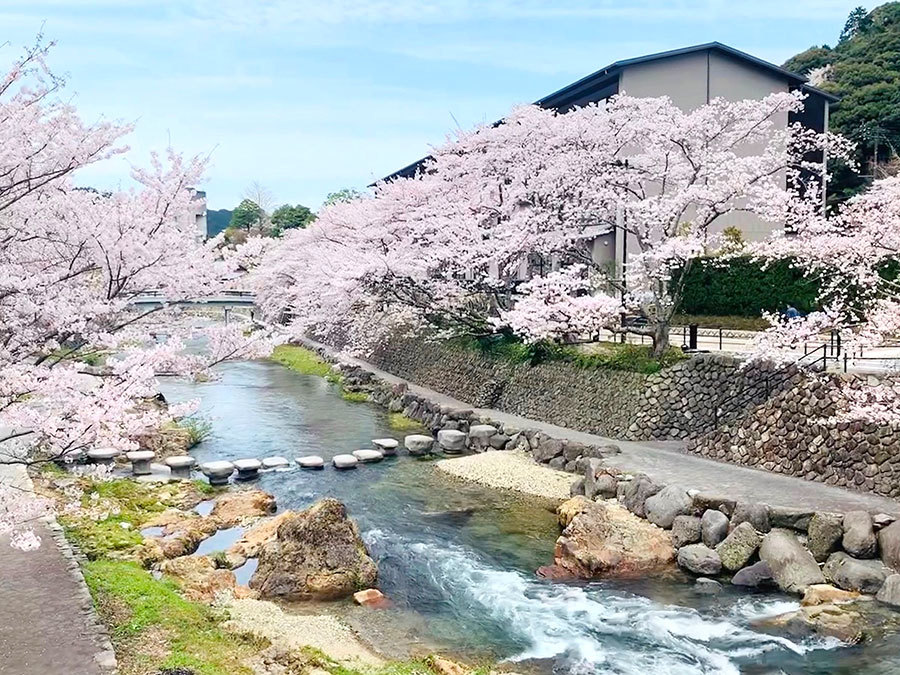 日本山口县 5个壮观的天然景色