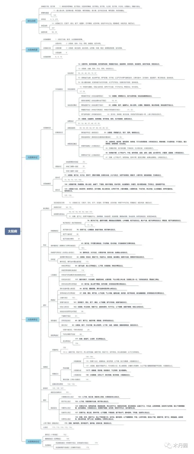 伤寒论讲义辨太阳病脉证并治重点内容思维导图