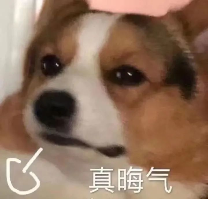 表情包|好了宝,再说就烦了