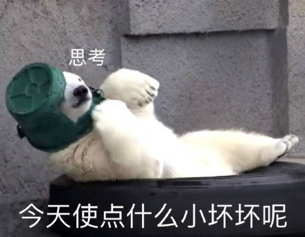 沙雕北极熊表情包/绿帽子