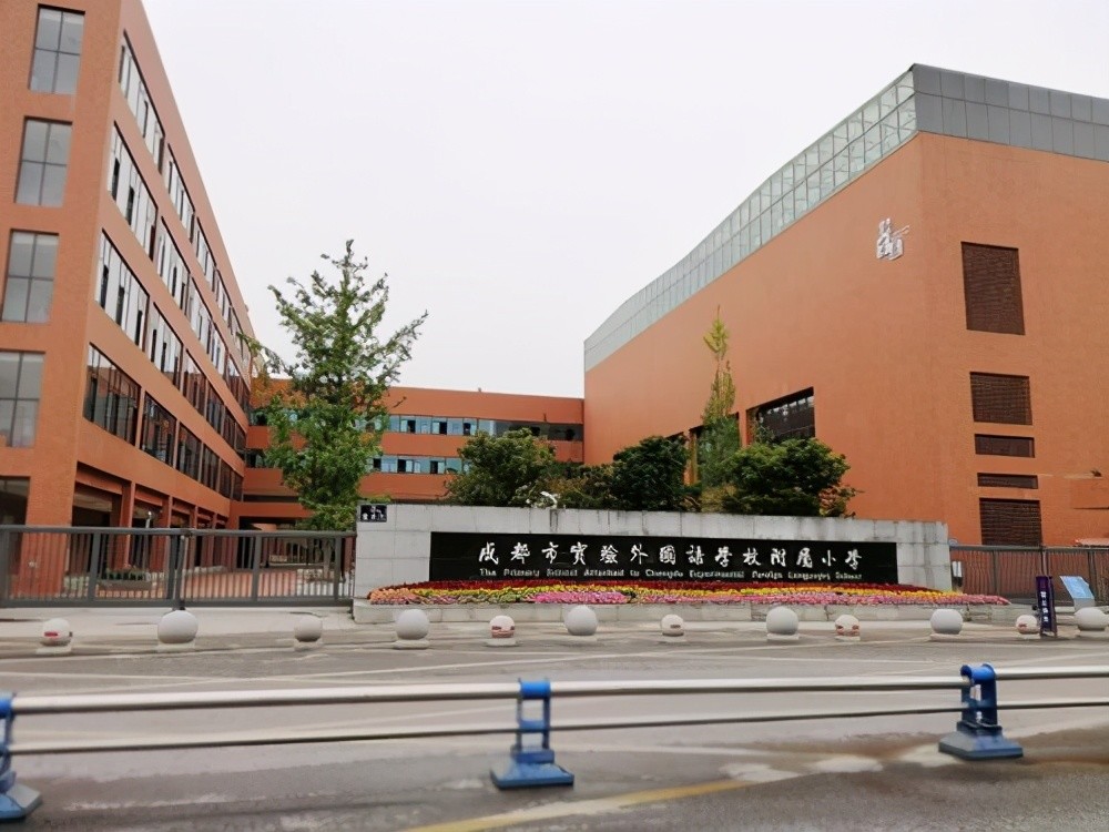 上海徐汇区这4所王牌小学,被称为别人家的小学,有你的