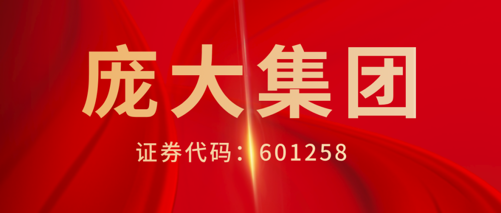 庞大集团:重拾往日哀愁,投资人索赔案迎来集中开庭