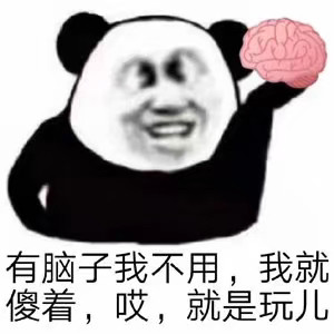 熊猫沙雕表情包|有脑子我不用,我就傻着,哎,我就是玩!