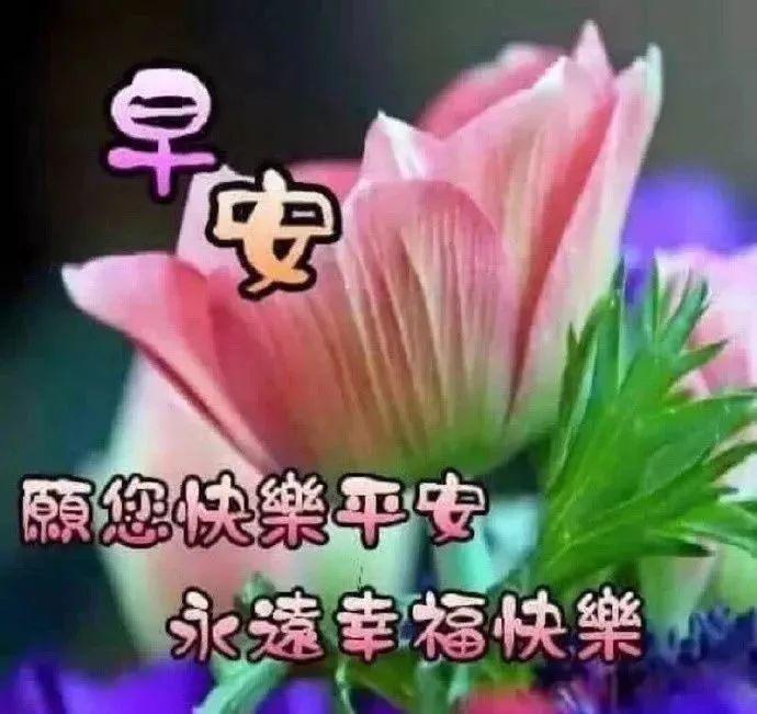 最新漂亮的微信早上好鲜花问候图片,2021年清晨阳光祝福语温馨