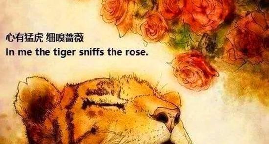 俗语心有猛虎细嗅蔷薇是什么意思蕴含深刻哲理
