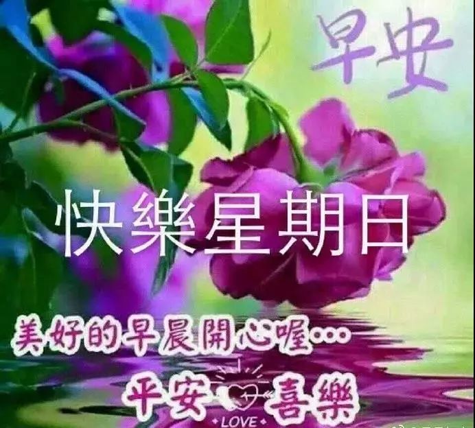 早晨暖心阳光祝福语图片带字 好看的温馨的早上好动态