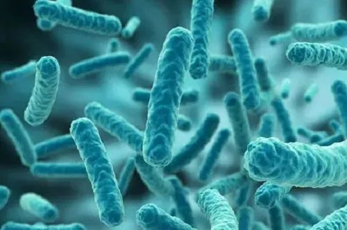 【医伴旅】注意!细菌和真菌可能会增加癌症发生的风险