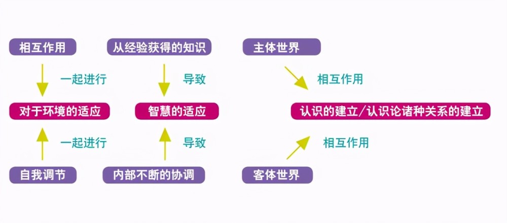 认知水平低的人注定要被社会所遗弃!